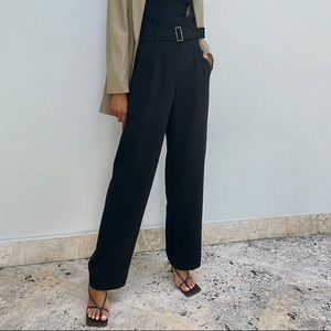 Aritzia Babaton POWER Pants in DIVE color